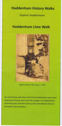 Lime Walk cover